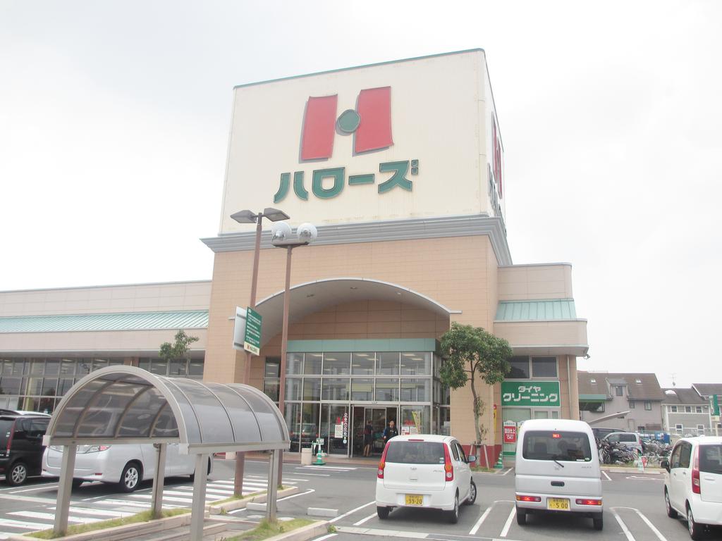 Supermarket. Hellos Tanoue store up to (super) 574m