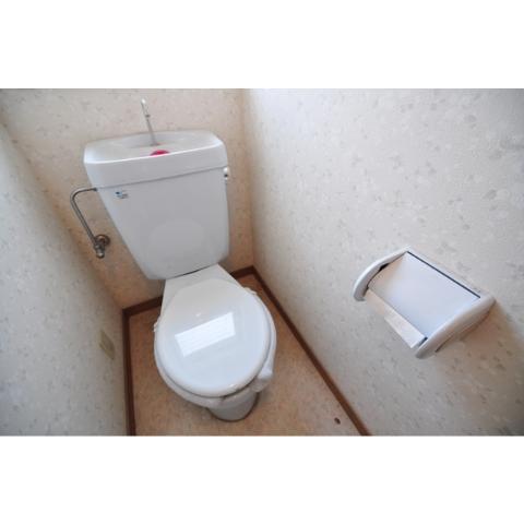Toilet. It is just a normal toilet ☆