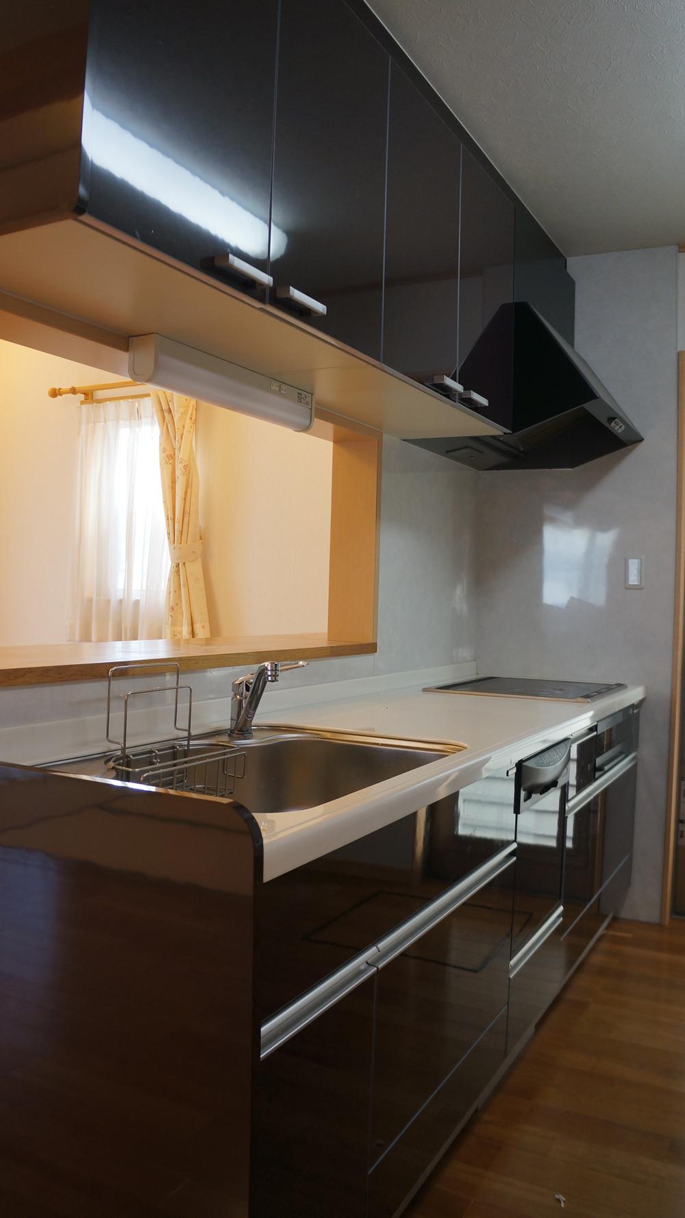 Kitchen. Dishwasher, System kitchen with IH