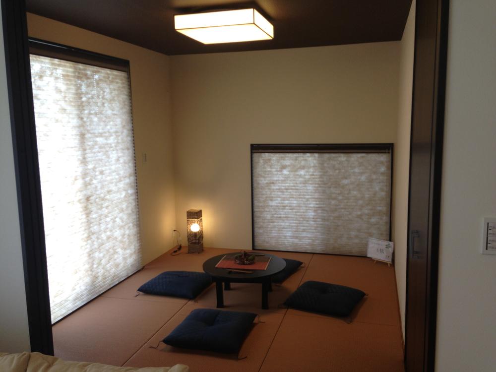 Other introspection. Indoor (June 2013) Shooting