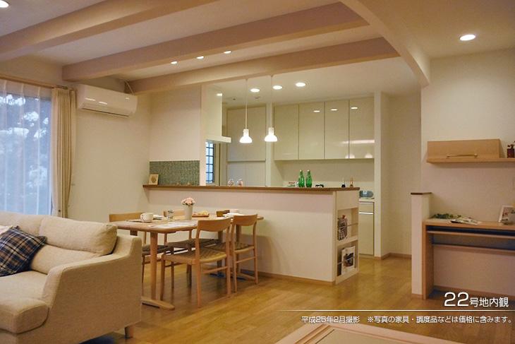 Living.  [No. 22 place] [Introspection Photo] 2013 February shooting  ※ Photos furniture ・ Such as the furniture is included in price.