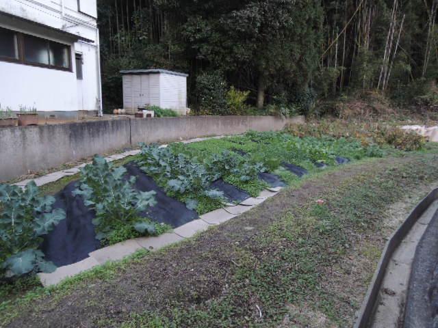 Other local. Also adjacent land is available for purchase