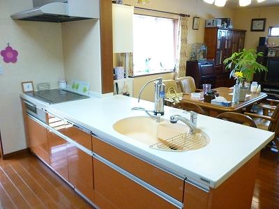 Kitchen. Popular face-to-face kitchen