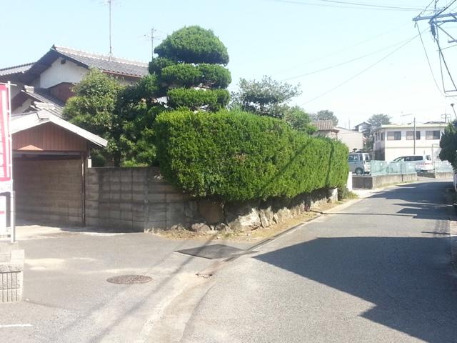 Local photos, including front road