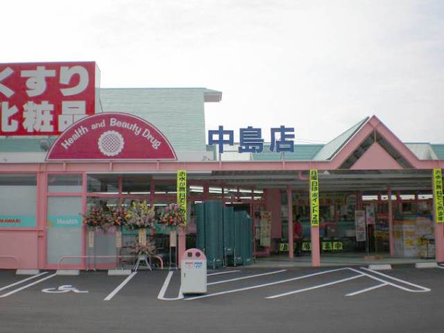 Dorakkusutoa. Super drag sunflower Nakajima shop 257m until (drugstore)