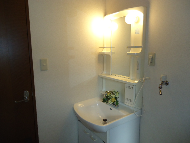Washroom. Shampoo is Dresser!