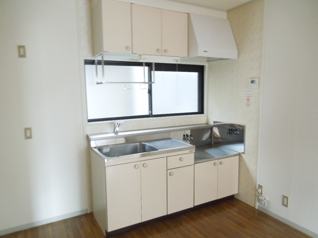 Kitchen. Image (It is a photograph of the 102 in Room)