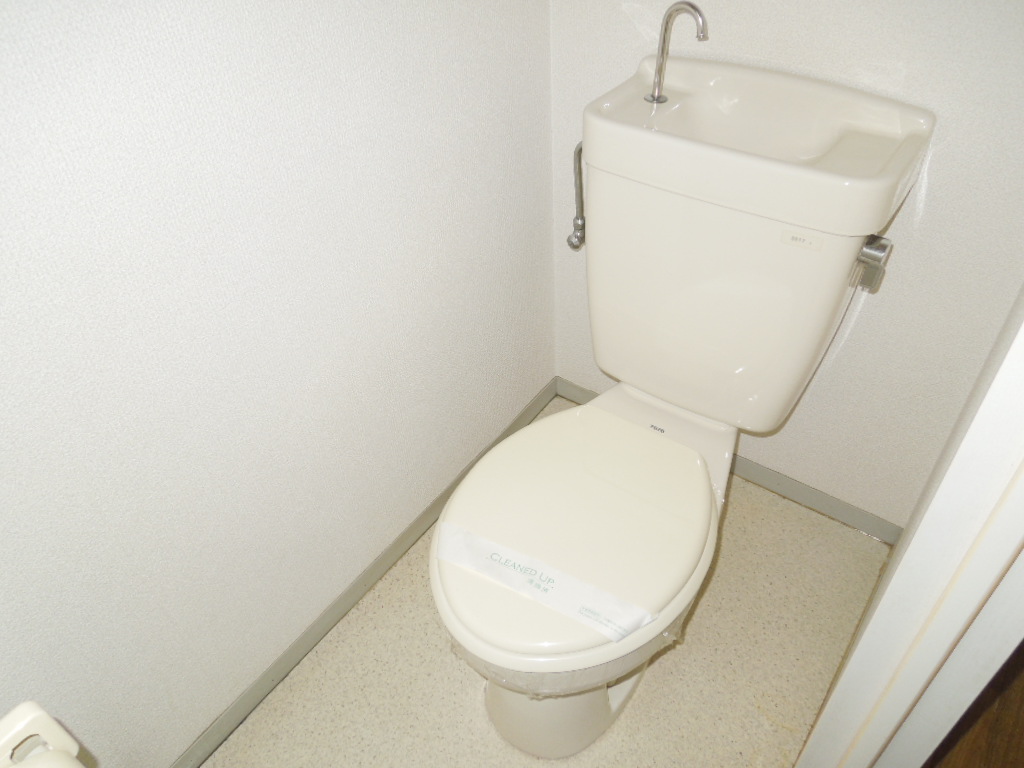 Toilet. Image (It is a photograph of the 102 in Room)
