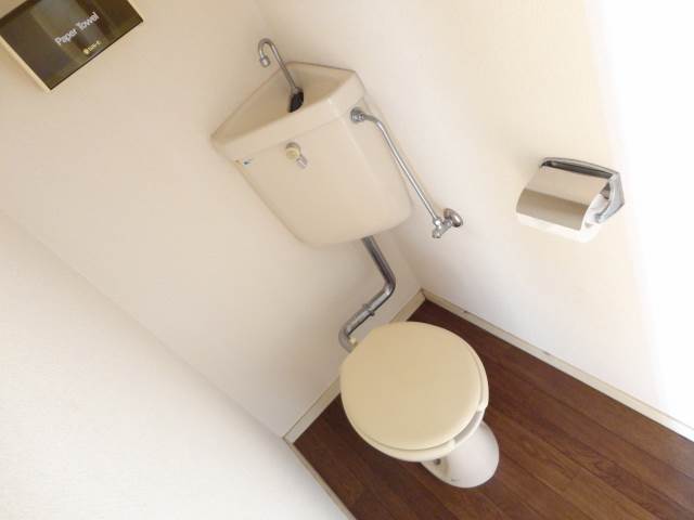 Toilet. Wide toilet