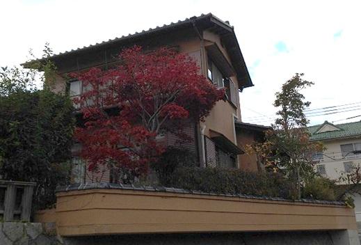 Local appearance photo. Local (11 May 2013) Shooting