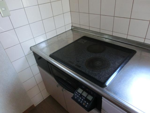 Kitchen. Indoor (11 May 2013) Shooting