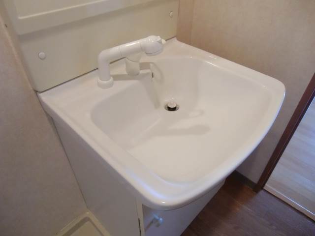 Other Equipment. Shampoo dresser ☆