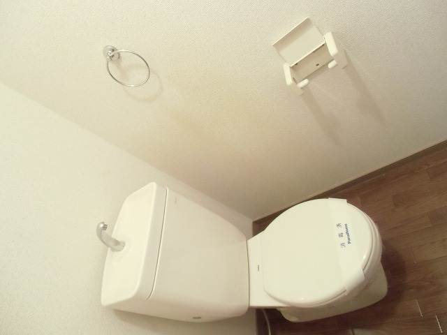 Toilet. Toilet