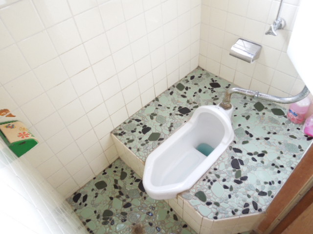 Toilet. Toilets are squat!