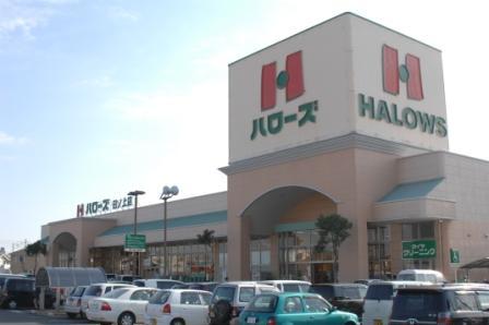 Other. Surrounding environment Hellos About 1000m