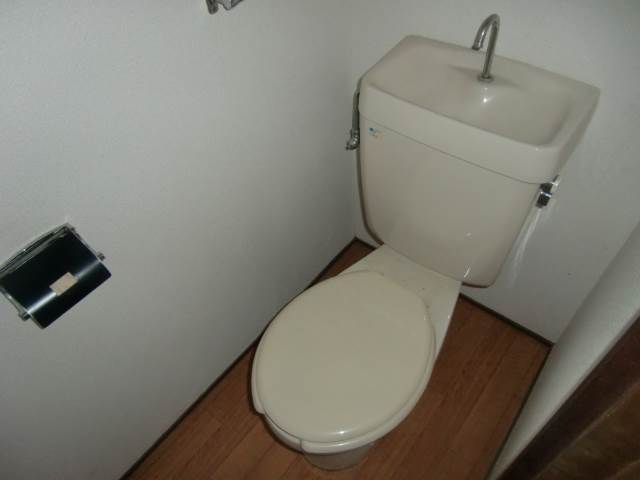 Toilet. Toilet is clean!