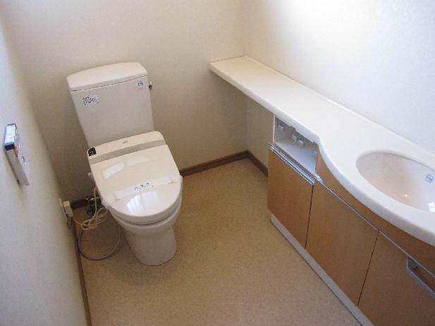 Toilet. It is hand-wash-conditioned toilet. 