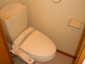 Toilet. Toilet