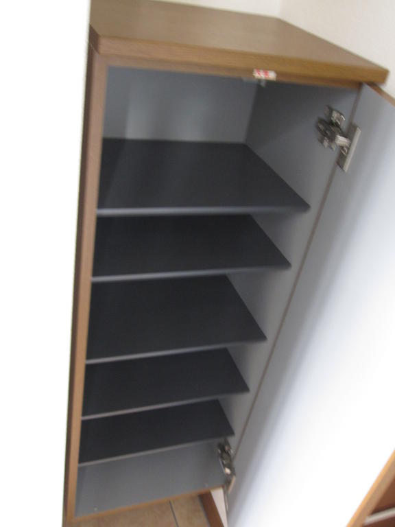 Entrance. Shoe box