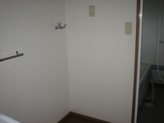Washroom. Washing machine Storage
