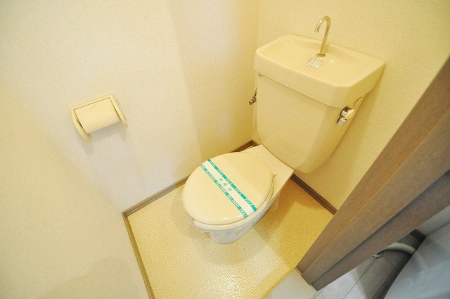 Toilet. Offering of looks good toilet!