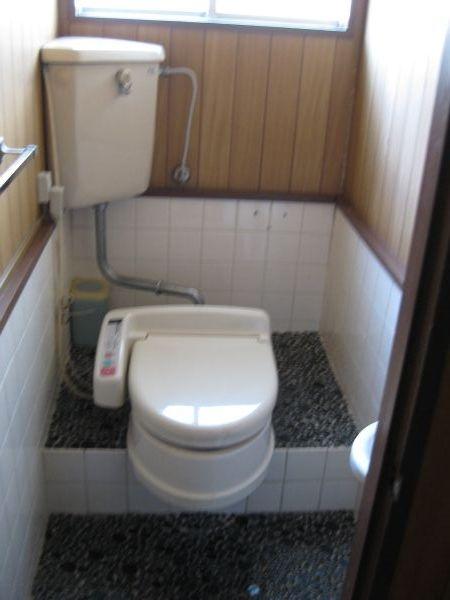 Toilet. Indoor (April 2012) shooting