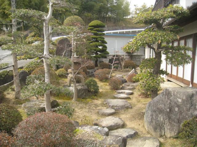 Garden. Local (March 2012) shooting