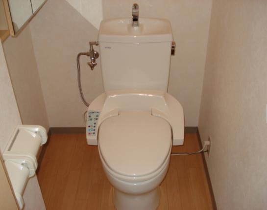 Toilet. (* ' `*) (*'` *) (* ' `*) (*'` *) (* ' `*)
