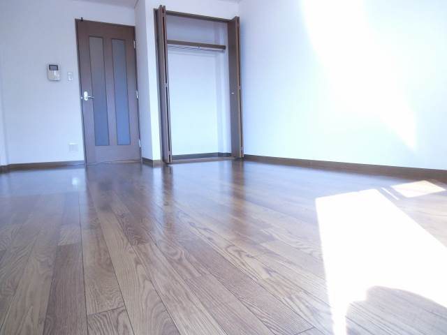 Other room space. With closet ☆