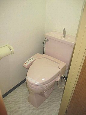 Toilet. ☆ It comes with Wishu let ☆