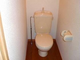 Toilet. Toilet