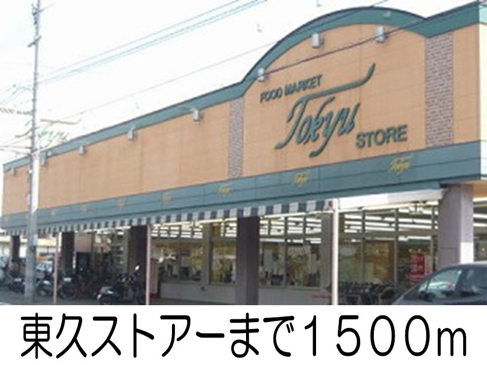Supermarket. Tokyu Store Chain Yanagida 1500m to the store (Super)
