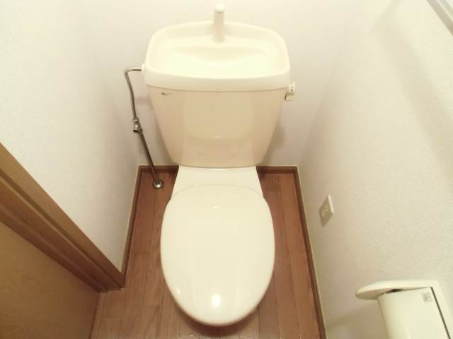 Toilet. ■ □ It is a flush toilet! □ ■