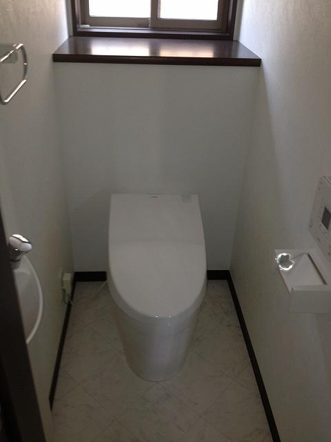 Toilet. Room (August 2013) Shooting