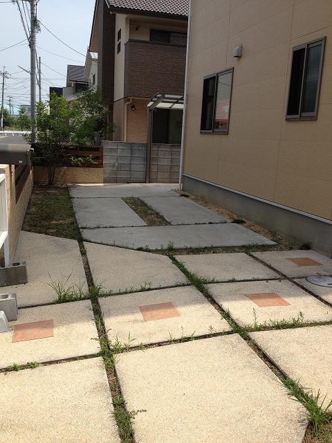 Garden. Local (August 2013) Shooting