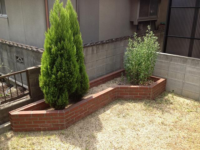 Garden. Local (August 2013) Shooting