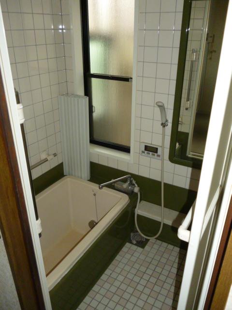 Bathroom. Indoor (10 May 2013) Shooting