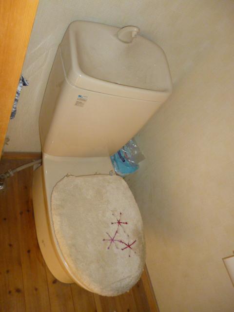 Toilet. Indoor (July 2013) Shooting