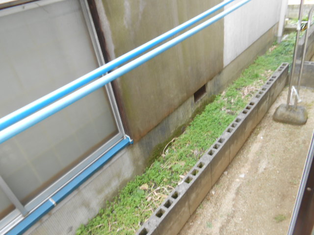 Balcony. It is the first floor of clothesline space!