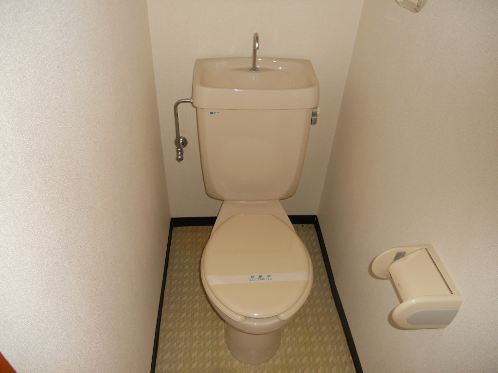 Toilet. Western water