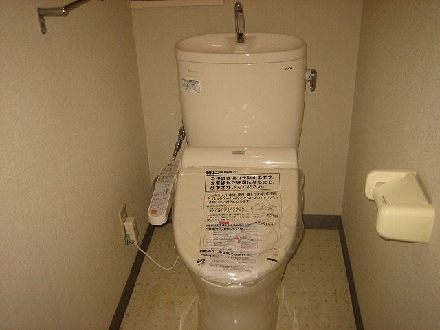 Toilet. It has been replaced with a new one