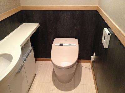 Toilet. Indoor (September 2013) Shooting