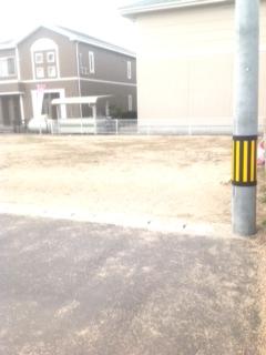 Local land photo. Local (04 May 2013) Shooting