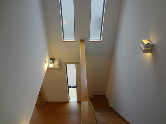 Other introspection. South of windows and atrium room (June 2013) Shooting