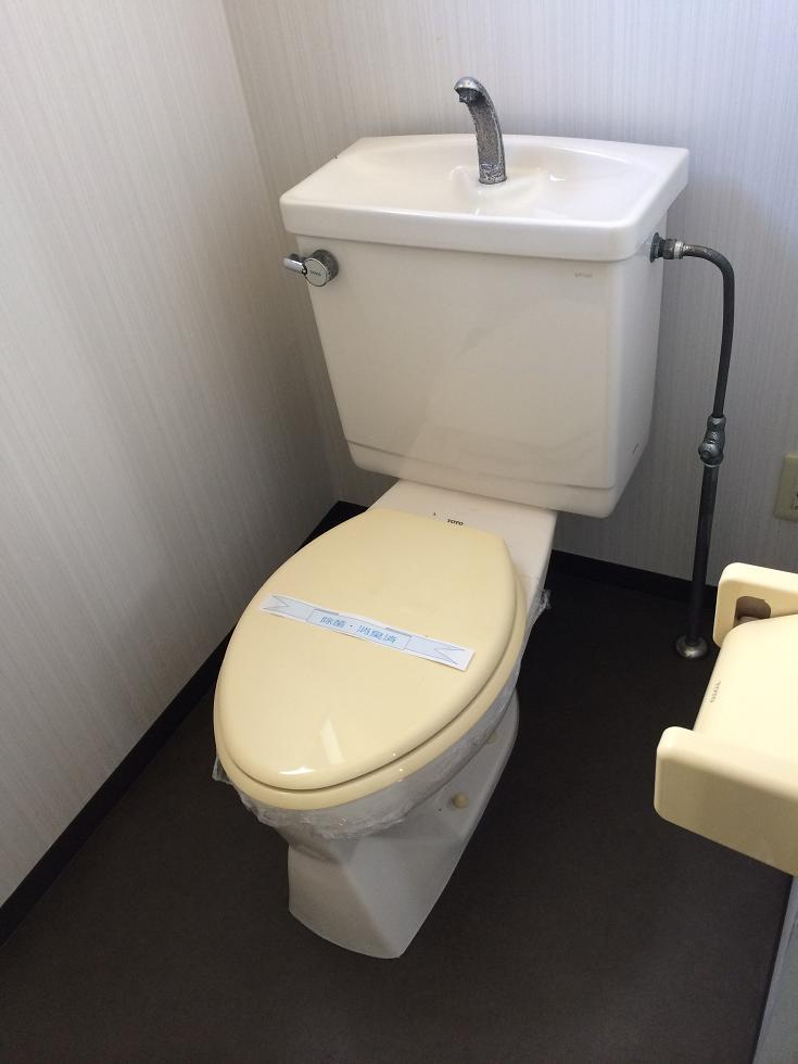 Toilet. Indoor (10 May 2013) Shooting