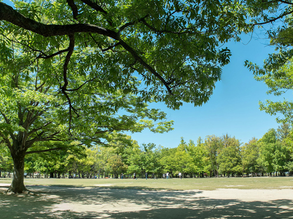 Surrounding environment. Familiarity with nature, Fun Mel place the four seasons "Sports Park". Within the premises of up to about 35ha, Athletics stadium and gymnasium, Okayama Prefectural ground with a baseball field, such as a variety of sports facilities ・ Called "Sports Park". Rich blessed with nature this park is, Not only the people living in the neighborhood, Also a lot of people come from the suburbs, Has become a relaxing remain think in family recreation office throughout the year. (About 370m / A 5-minute walk)