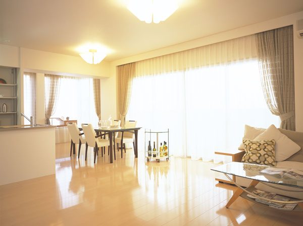 Room and equipment. Living-dining (Model Room E type)