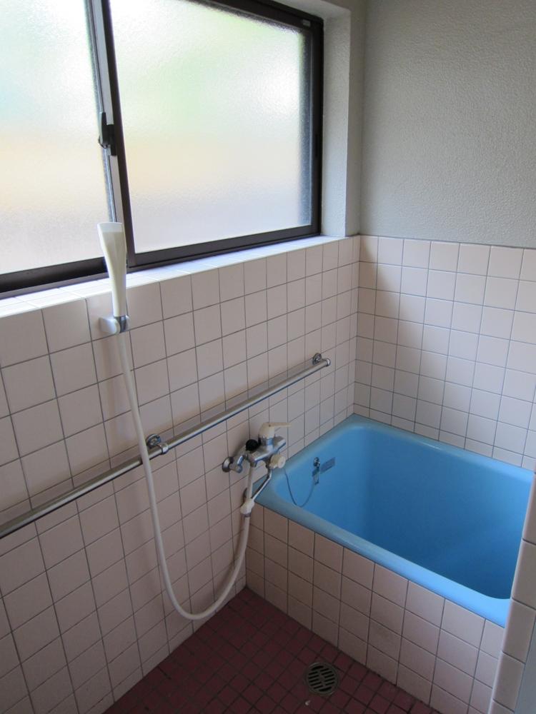 Bathroom. Indoor (June 2013) Shooting