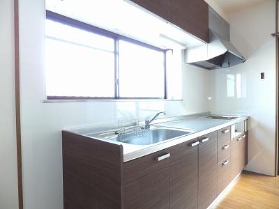 Kitchen. Local (January 2014) Shooting