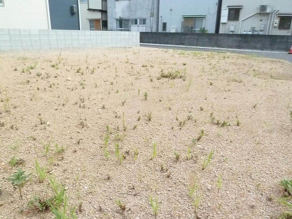 Local land photo. Local (August 2013) Shooting